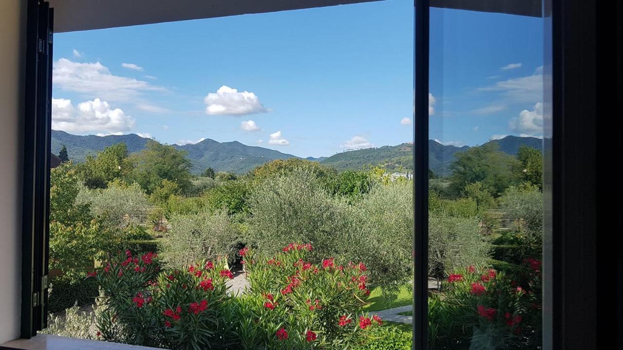Salvia E Rosmarino - Affittacamere In Liguria Villanova d'Albenga Dış mekan fotoğraf