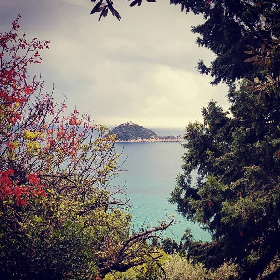 Salvia E Rosmarino - Affittacamere In Liguria Villanova d'Albenga Dış mekan fotoğraf
