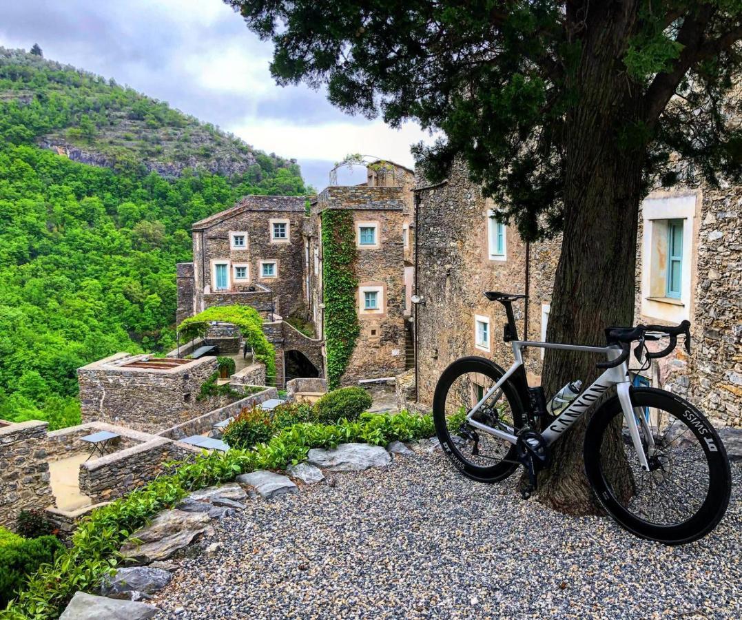 Salvia E Rosmarino - Affittacamere In Liguria Villanova d'Albenga Dış mekan fotoğraf