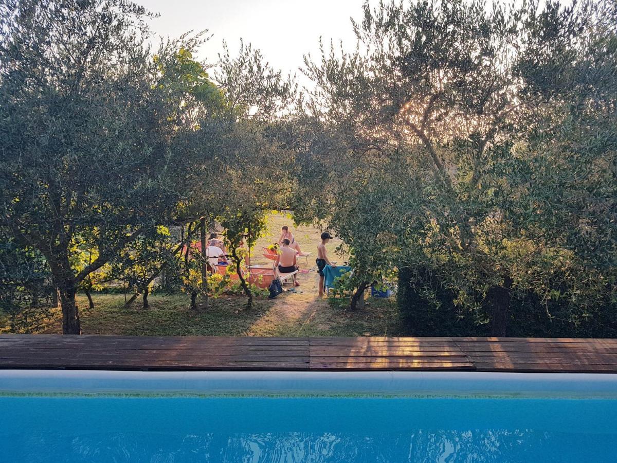 Salvia E Rosmarino - Affittacamere In Liguria Villanova d'Albenga Dış mekan fotoğraf