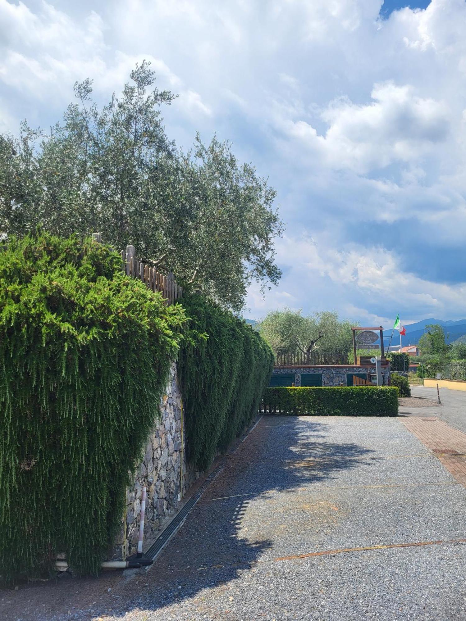 Salvia E Rosmarino - Affittacamere In Liguria Villanova d'Albenga Dış mekan fotoğraf