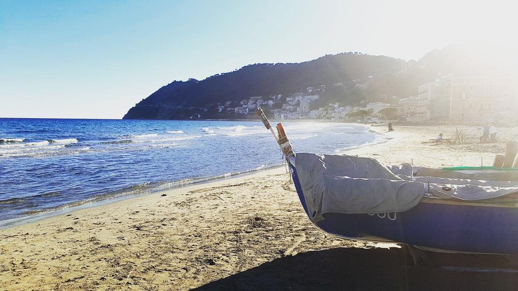 Salvia E Rosmarino - Affittacamere In Liguria Villanova d'Albenga Dış mekan fotoğraf